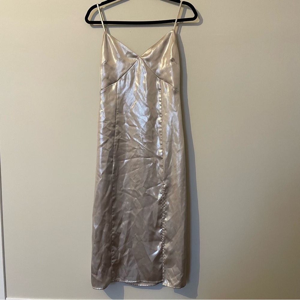 Elegant Shiny Dress